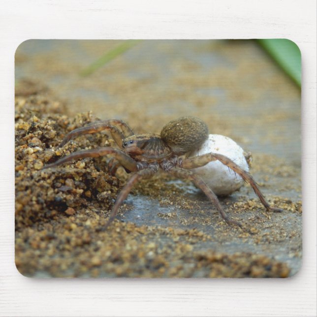 Wolf Spider With Egg Sac Mouse Mat (Front)