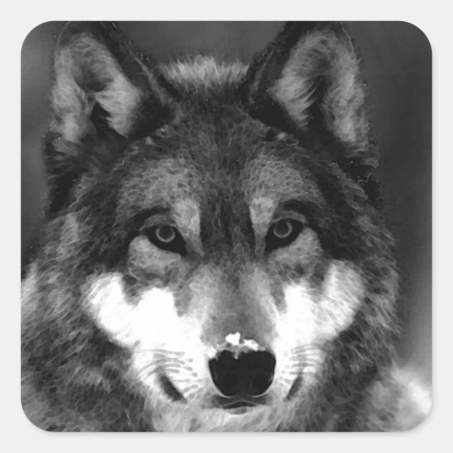 Wolf Square Sticker (Front)