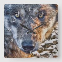 WOLF STAND YOUR GROUND