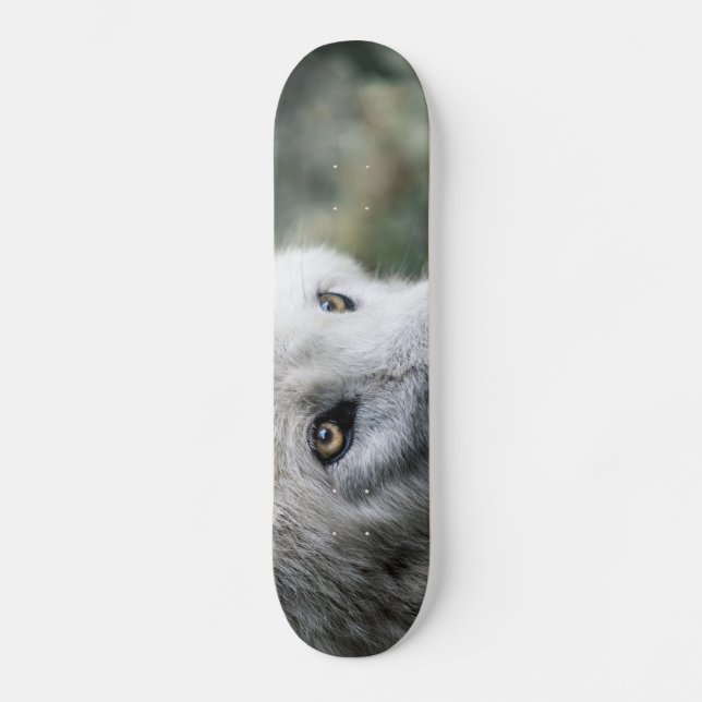 Wolf Stare Skateboard (Front)