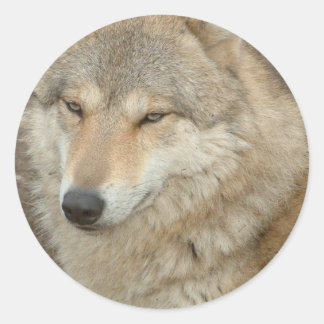 Wolf Sticker
