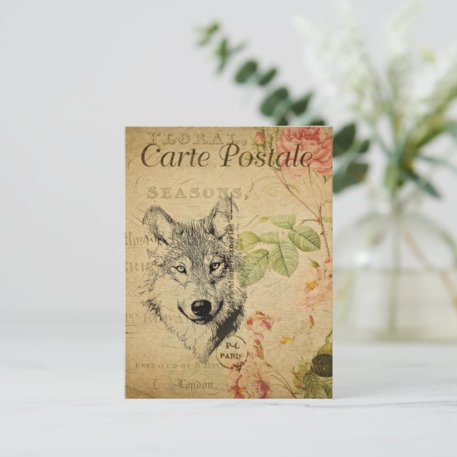 Wolf Tan postcard (Standing Front)