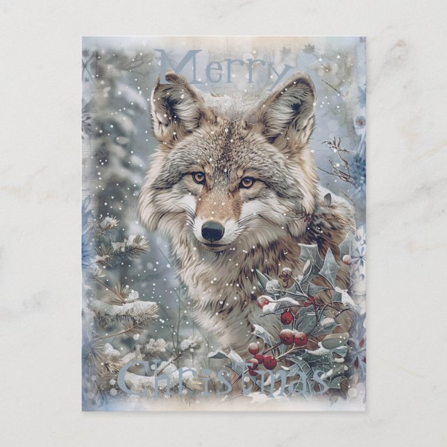 Wolf Winter Christmas Holiday Postcard (Front)