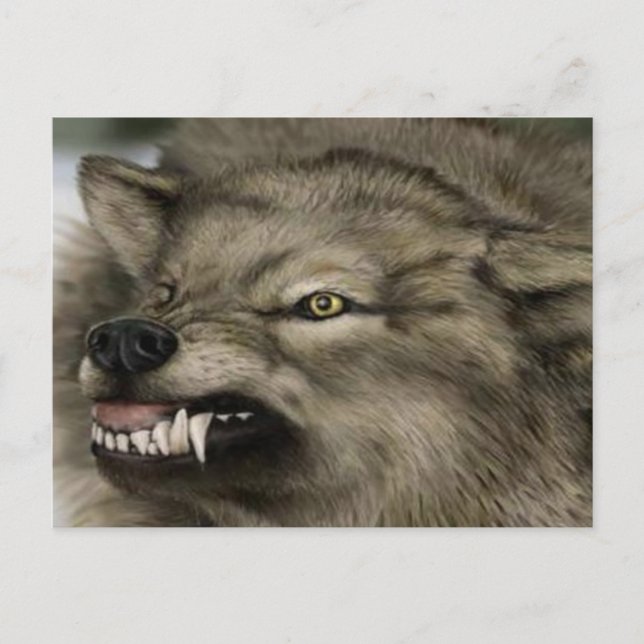 wolf with his teeth out postcard (Front)