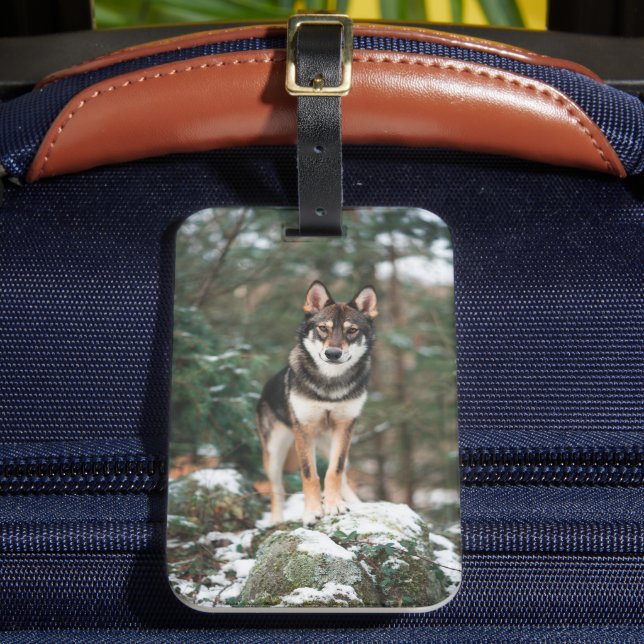 Wolfdog Luggage Tag (Front Insitu 2)