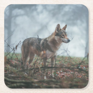 Wolfdog Square Paper Coaster
