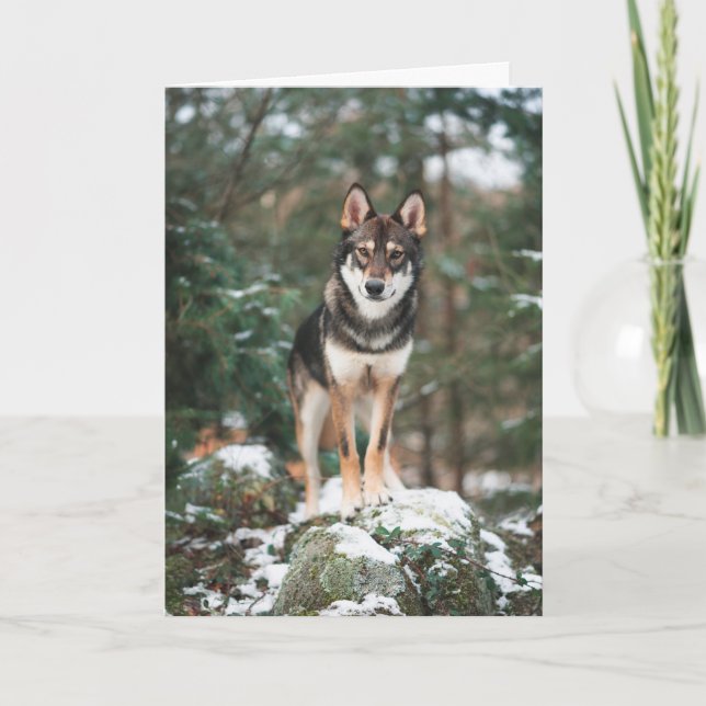 Wolfdog Thank You Card (Front)