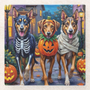 Wolfhound Trick-or-Treating Halloween Costumes Glass Coaster