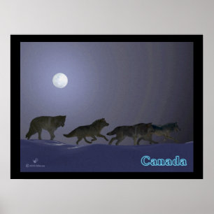 Wolfpack Poster