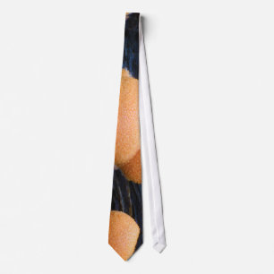 Wolf's Milk Groening's Slime Lycogala Epidendrum Tie