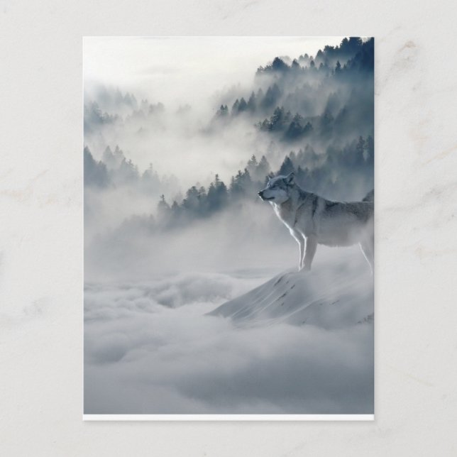 Wolfs Winter Art Photo Postcard (Front)