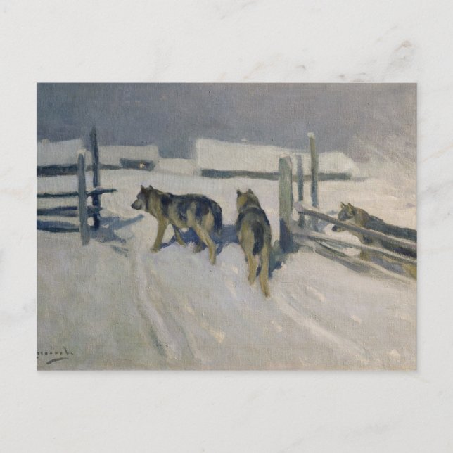 Wolfs, Winter Night, c.1910 Postcard (Front)
