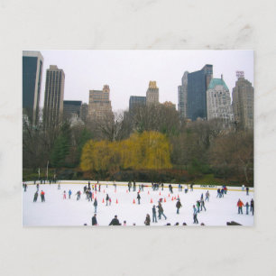 Wollman Ice Rink Central Park NYC New York City Postcard