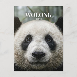 Wolong National Nature Reserve China Postcard