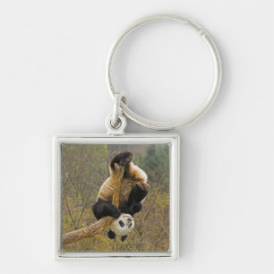 Wolong Panda Reserve, China, 2 1/2 yr old Key Ring