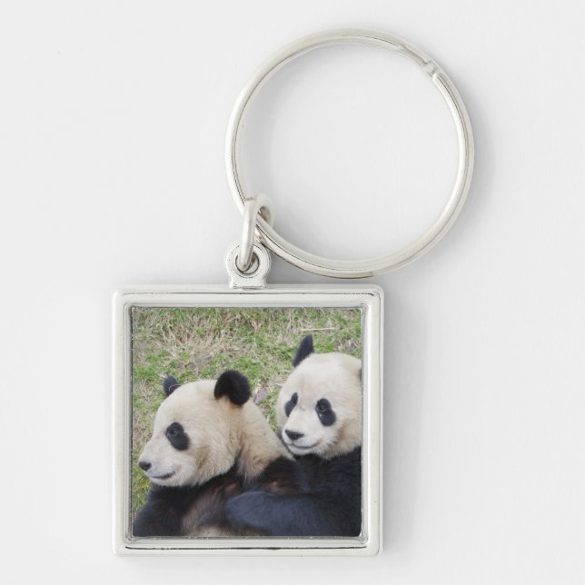 Wolong Reserve, China, Giant panda hugging Key Ring (Front)