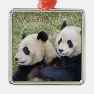 Wolong Reserve, China, Giant panda hugging Metal Tree Decoration