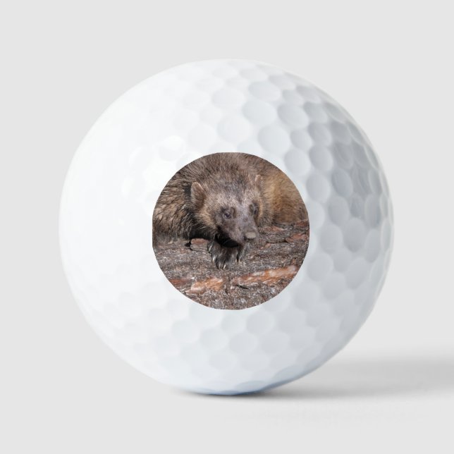 Wolverine Close Encounter Golf Balls (Front)