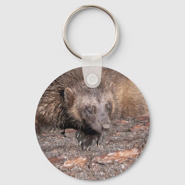 Wolverine Close Encounter Key Ring (Front)