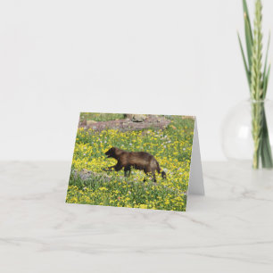 Wolverine Note Card