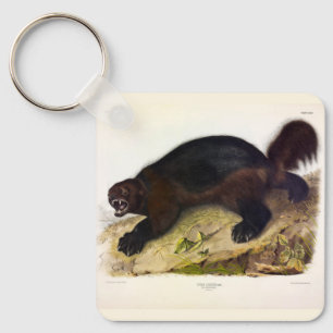Wolverine or Wolverene (Gulo gulo) by Audubon Key Ring