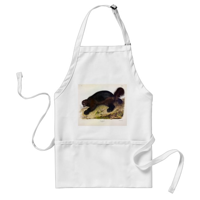 Wolverine or Wolverene (Gulo gulo) by Audubon Standard Apron (Front)