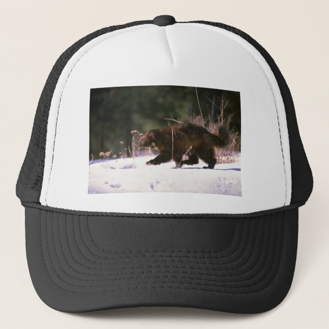 Wolverine running through snow trucker hat (Front)