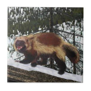 Wolverine Tile