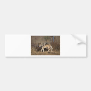 WOLVES BUMPER STICKER