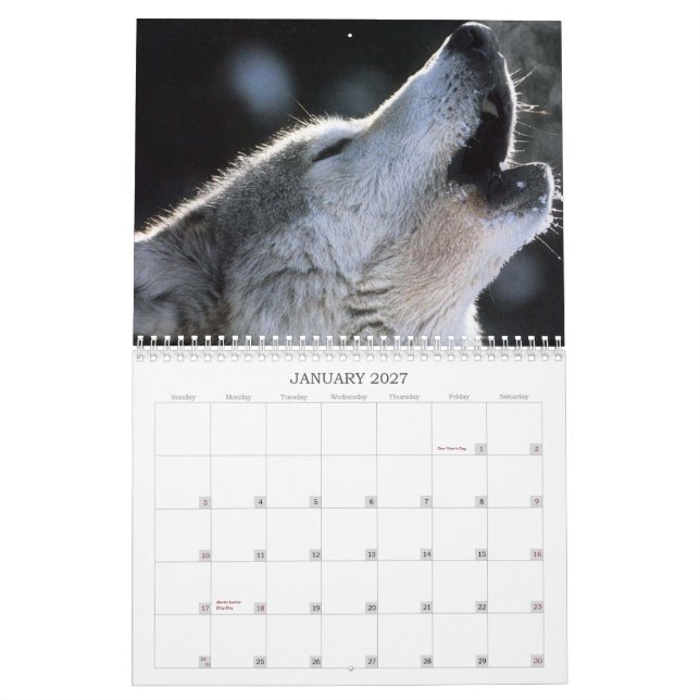 Wolves Calendar (Jan 2027)