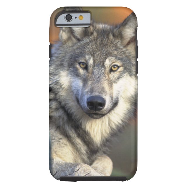 Wolves Case-Mate iPhone Case (Back)