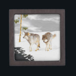 Wolves in Snow Painting - Original Wildlife Art Gift Box<br><div class="desc">Wolves in Snow portrait,  original painting.   We specialise in cute and funny original art. Buy this for yourself or as a great gift for your Wolf loving friends. Be creative - click on CUSTOMIZE to add/remove/change text,  resize the picture,  change colours or anything else the customisation tool will allow!</div>