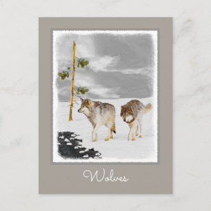Wolves in Snow Painting - Original Wildlife Art Postcard