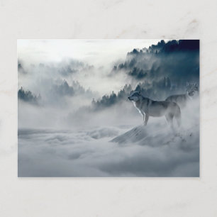 Wolves in Snowy Winter Landscape Postcard