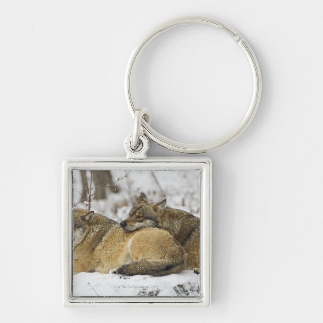 Wolves in the Bawarian Wood Key Ring (Front)