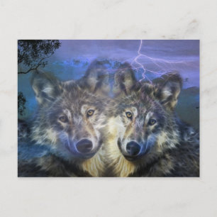 Wolves in the night postcard