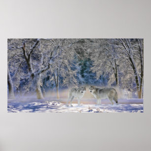 Wolves Of Yellowstone Poster