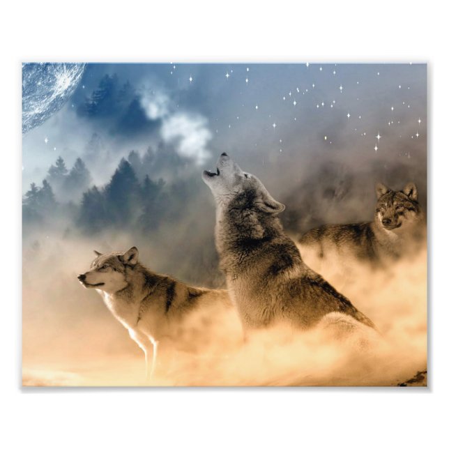 Wolves Photo Art Print (Front)