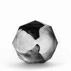 Wolves