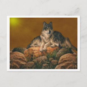 Wolves Postcard