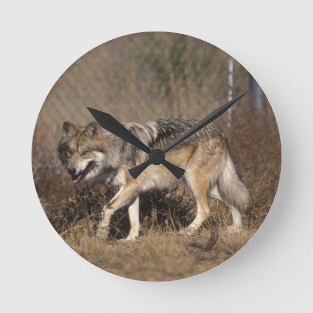 WOLVES ROUND CLOCK (Front)