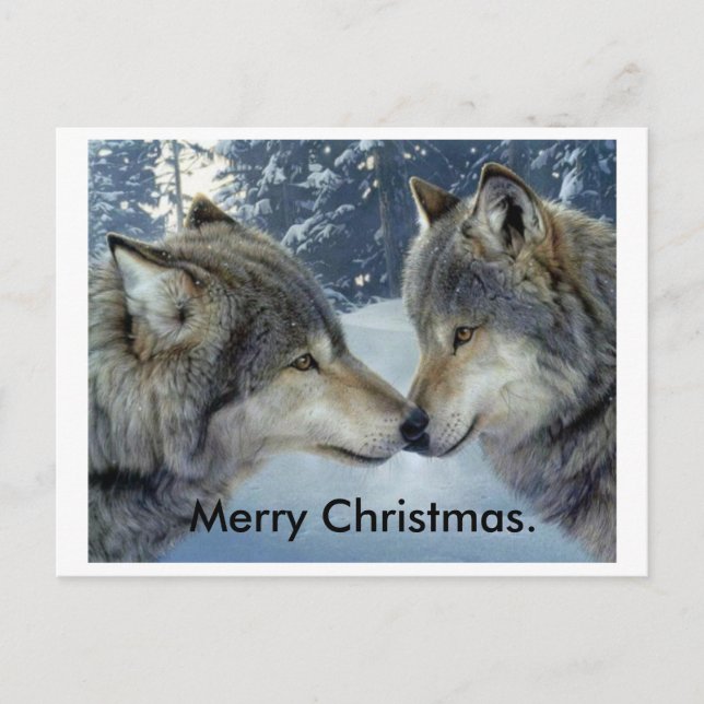 wolves rubbing noses merry Christmas post cards. Holiday Postcard (Front)