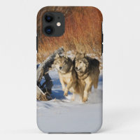 Wolves Running in Snow iPhone 4 Case