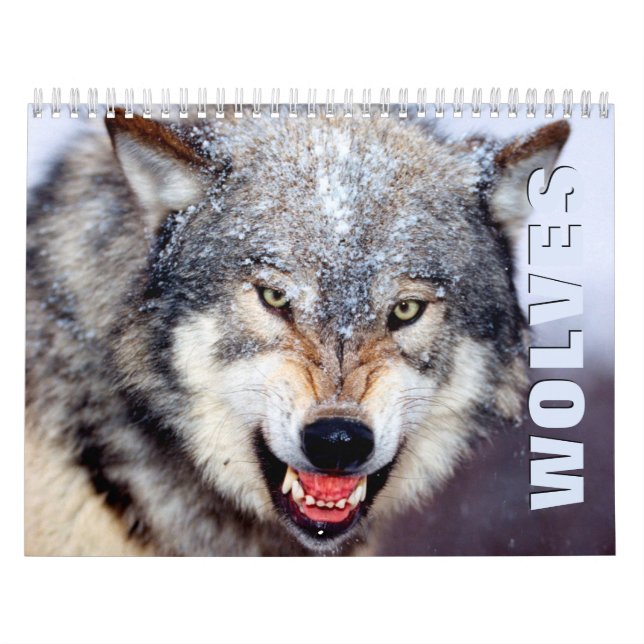 Wolves Wall Calendar (Cover)