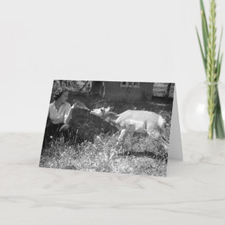 Woman bottle feeding an antelope. card