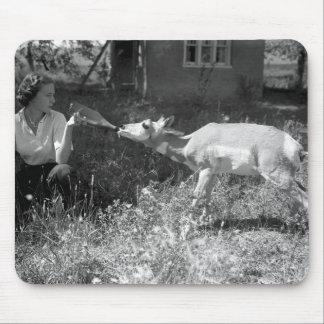 Woman bottle feeding an antelope. mouse pad