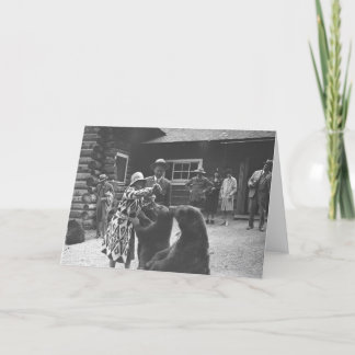 Woman feeding bears. card