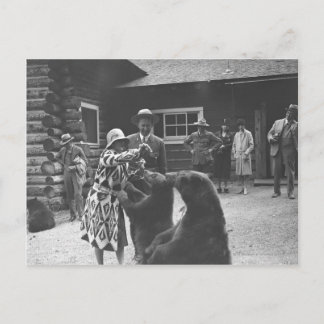 Woman feeding bears. postcard