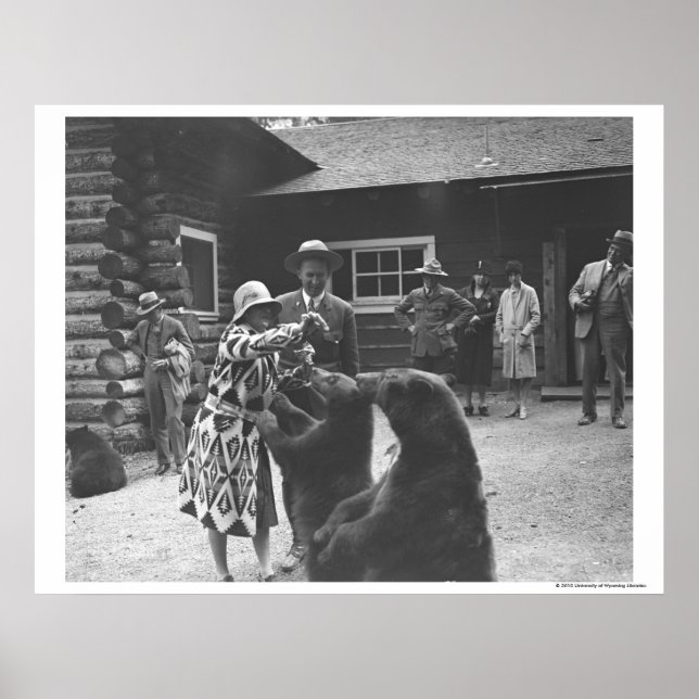 Woman feeding bears. poster (Front)