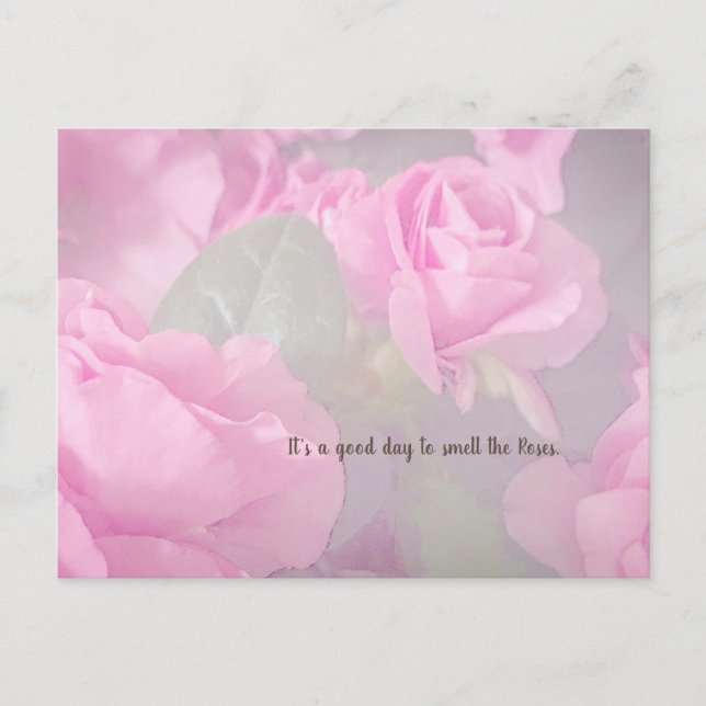 Woman Floral Pink Rose Garden Birthday Postcard (Front)